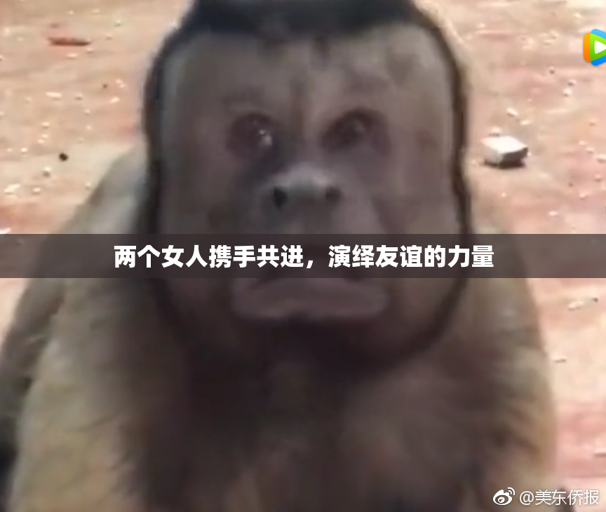 两个女人携手共进，演绎友谊的力量