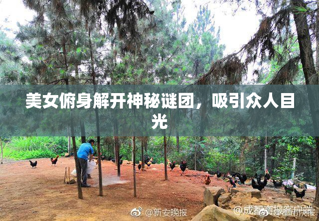 美女俯身解开神秘谜团，吸引众人目光