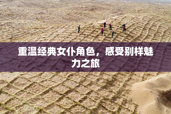 重温经典女仆角色，感受别样魅力之旅