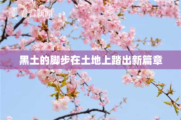 黑土的脚步在土地上踏出新篇章