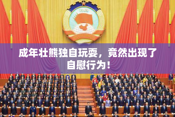 成年壮熊独自玩耍，竟然出现了自慰行为！