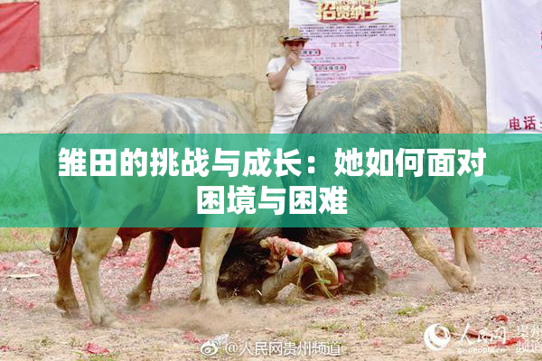 雏田的挑战与成长：她如何面对困境与困难