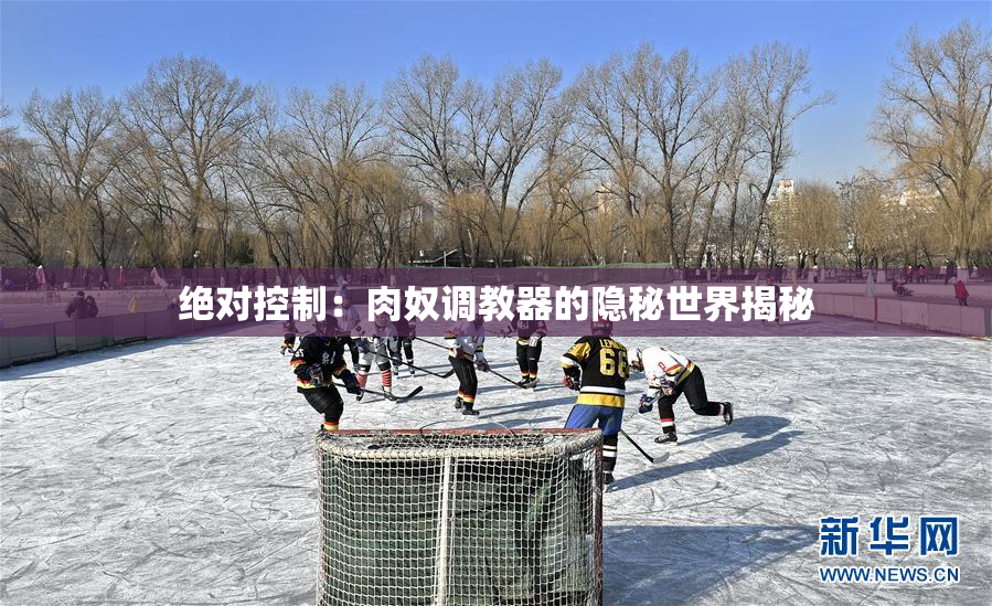 绝对控制：肉奴调教器的隐秘世界揭秘