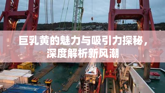 巨乳黄的魅力与吸引力探秘，深度解析新风潮
