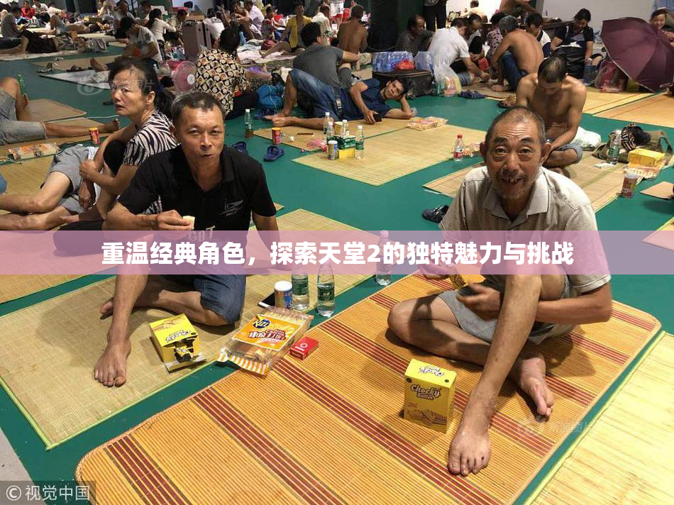 重温经典角色，探索天堂2的独特魅力与挑战
