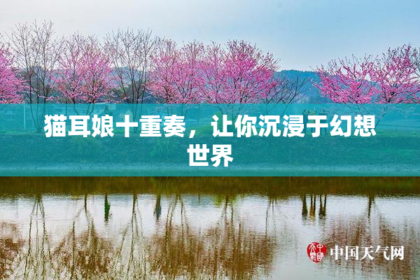 猫耳娘十重奏，让你沉浸于幻想世界