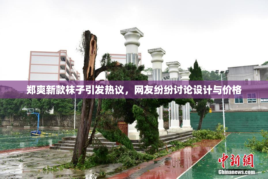 郑爽新款袜子引发热议，网友纷纷讨论设计与价格