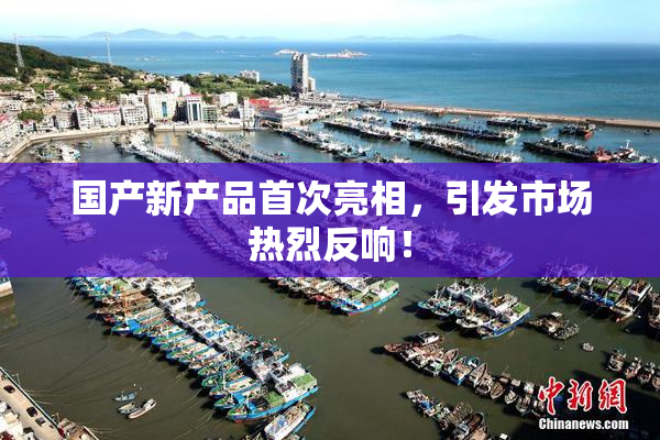 国产新产品首次亮相，引发市场热烈反响！