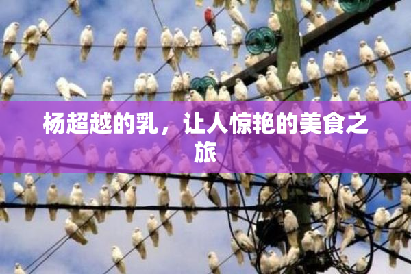 杨超越的乳，让人惊艳的美食之旅