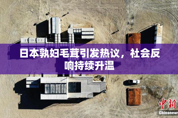 日本孰妇毛茸引发热议，社会反响持续升温