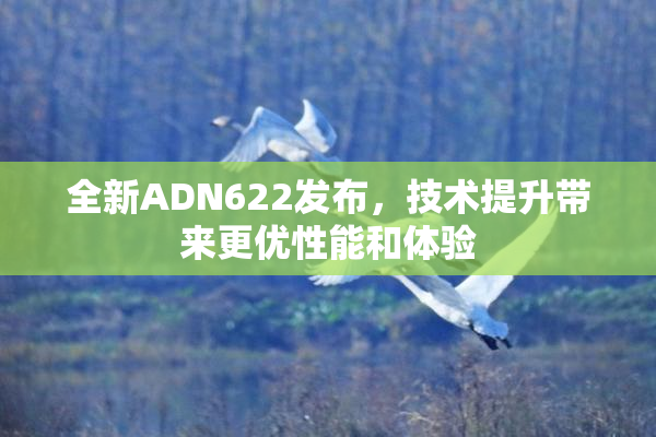 全新ADN622发布，技术提升带来更优性能和体验