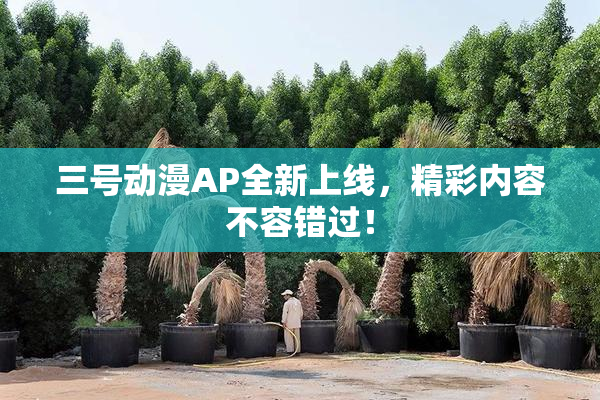 三号动漫AP全新上线，精彩内容不容错过！