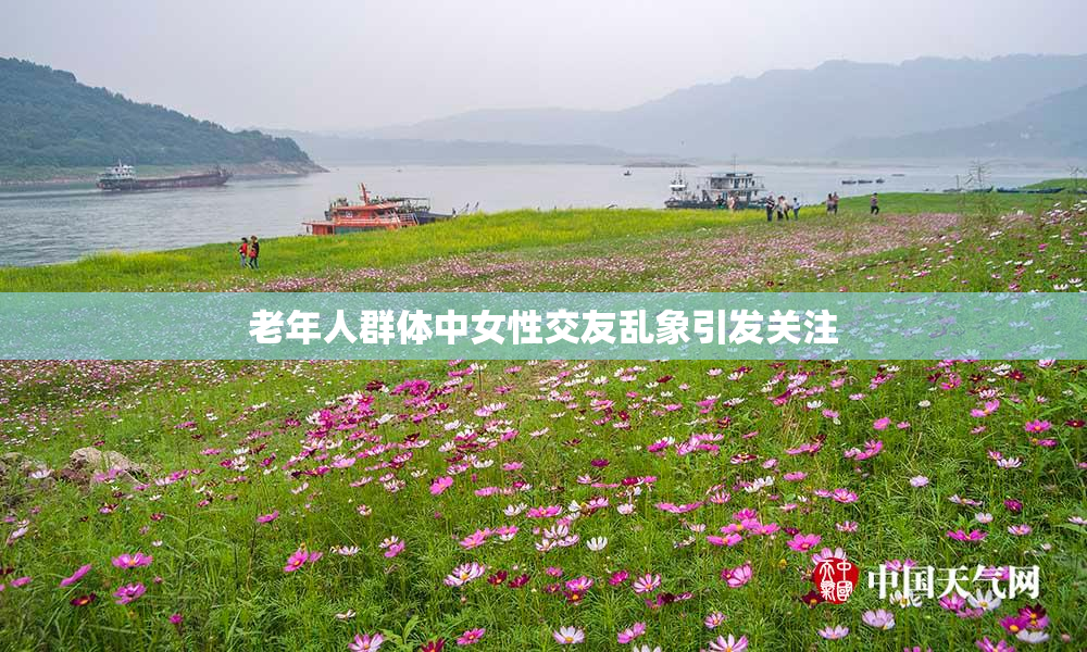 老年人群体中女性交友乱象引发关注
