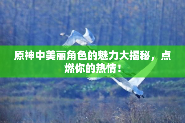 原神中美丽角色的魅力大揭秘，点燃你的热情！