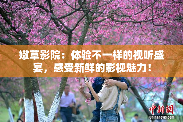 嫩草影院：体验不一样的视听盛宴，感受新鲜的影视魅力！