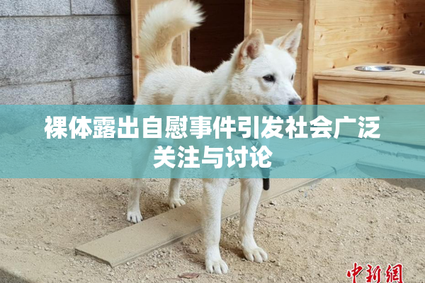 裸体露出自慰事件引发社会广泛关注与讨论