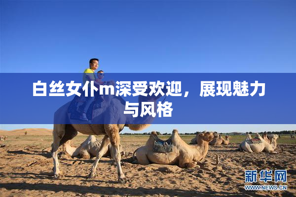 白丝女仆m深受欢迎，展现魅力与风格