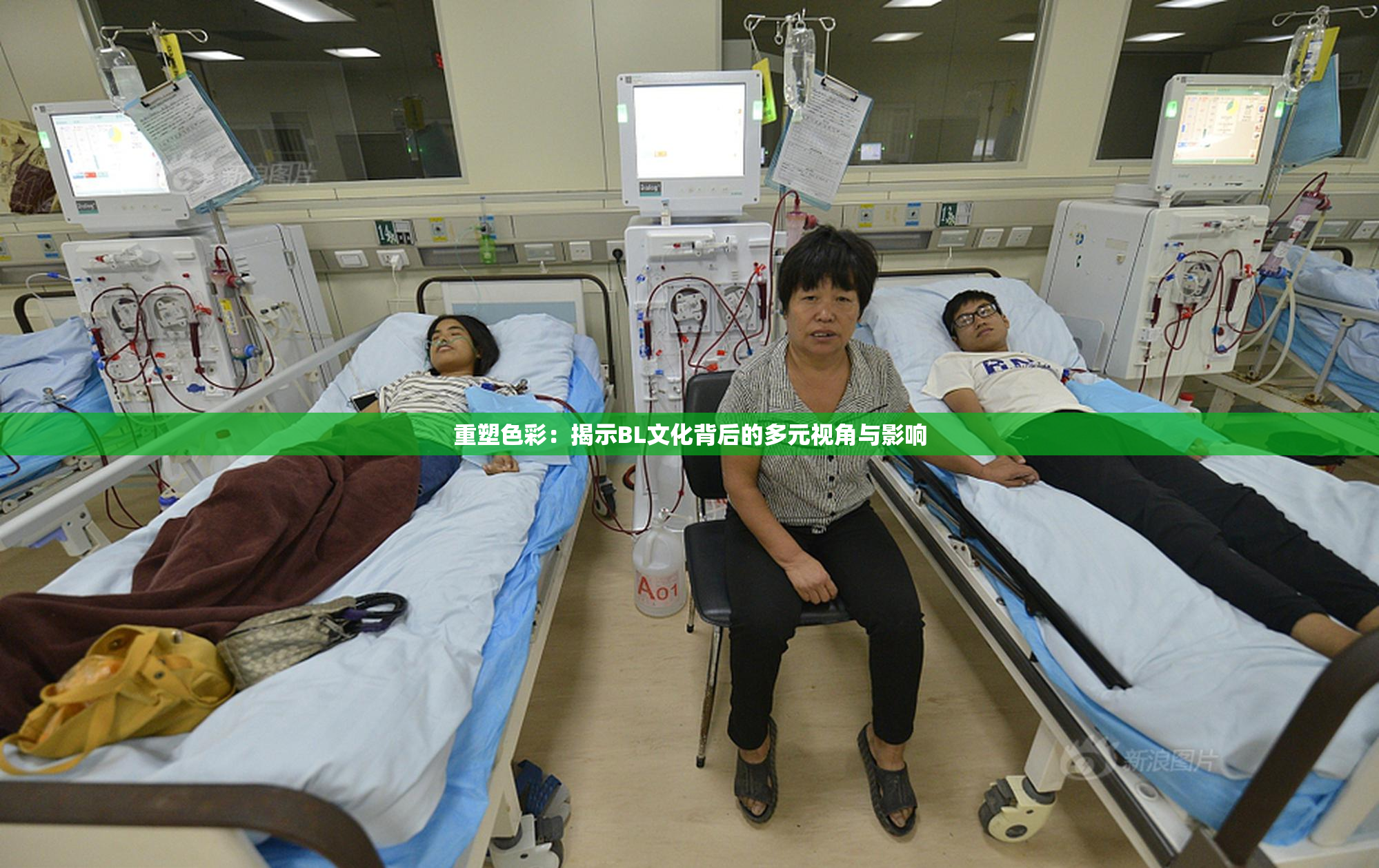 重塑色彩：揭示BL文化背后的多元视角与影响