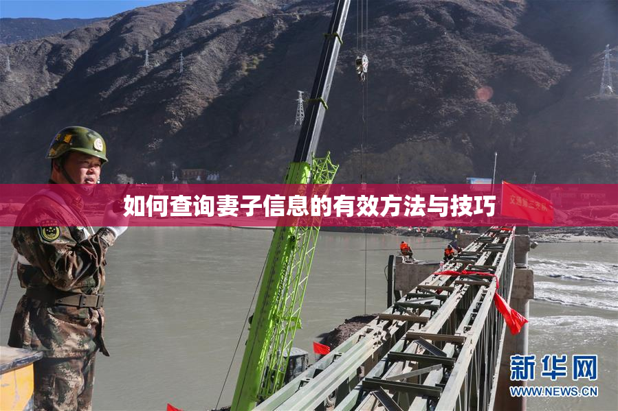 如何查询妻子信息的有效方法与技巧