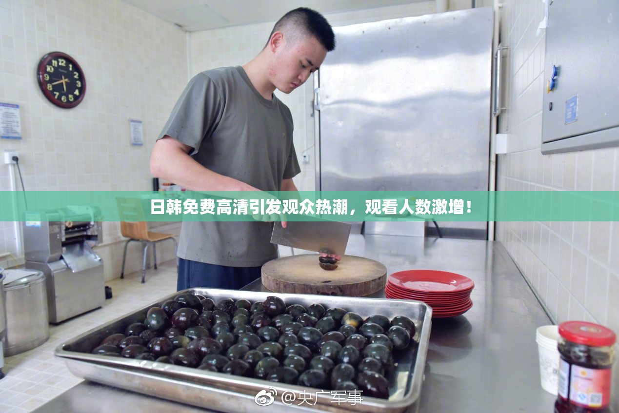 日韩免费高清引发观众热潮，观看人数激增！