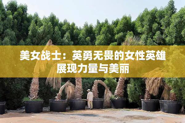 美女战士：英勇无畏的女性英雄展现力量与美丽
