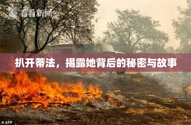 扒开蒂法，揭露她背后的秘密与故事
