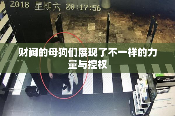 财阀的母狗们展现了不一样的力量与控权