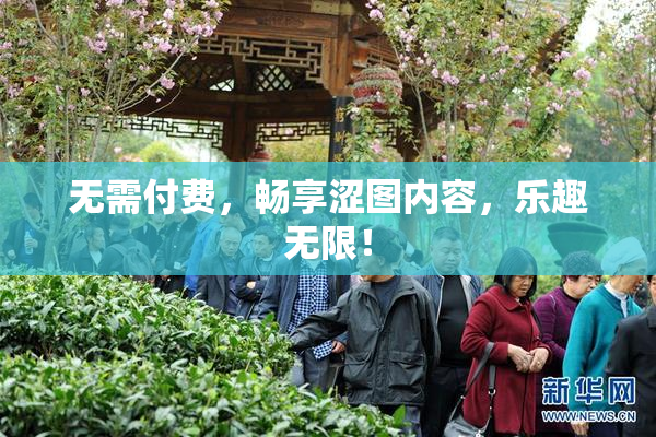 无需付费，畅享涩图内容，乐趣无限！