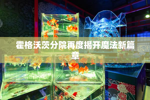 霍格沃茨分院再度揭开魔法新篇章
