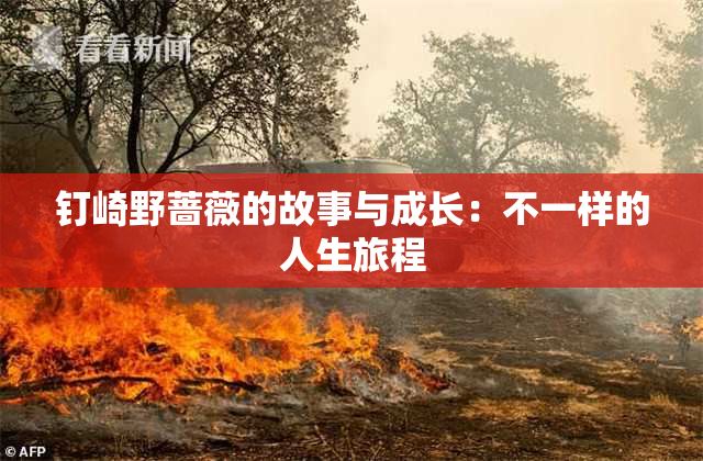 钉崎野蔷薇的故事与成长：不一样的人生旅程