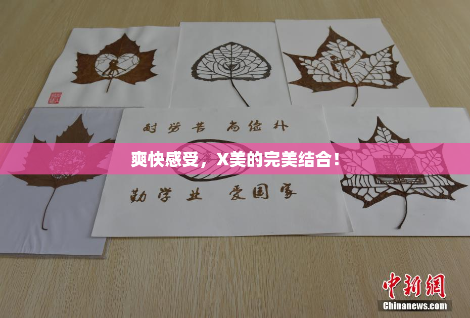 爽快感受，X美的完美结合！