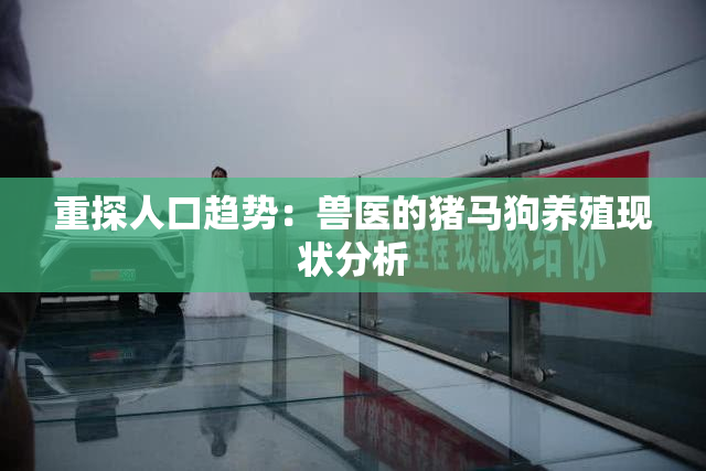 重探人口趋势：兽医的猪马狗养殖现状分析