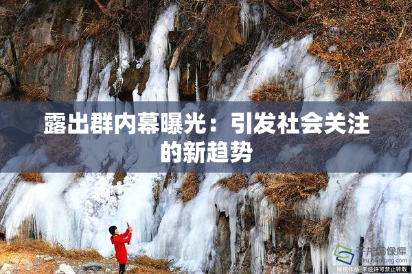 露出群内幕曝光：引发社会关注的新趋势