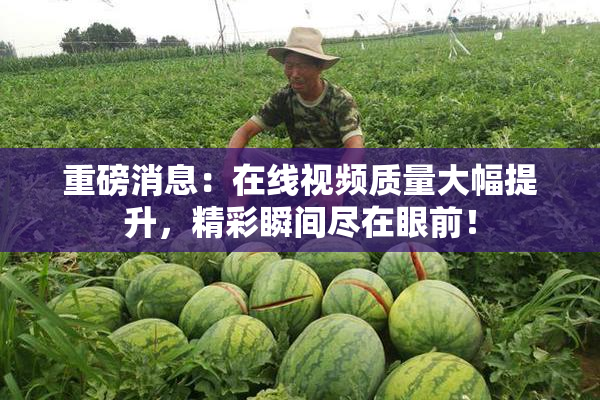 重磅消息：在线视频质量大幅提升，精彩瞬间尽在眼前！