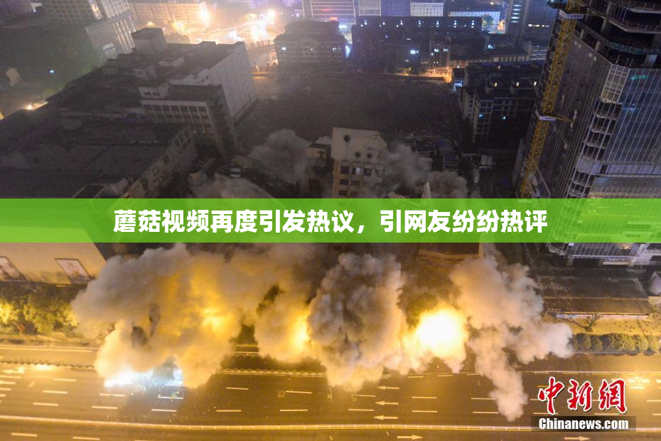 蘑菇视频再度引发热议，引网友纷纷热评