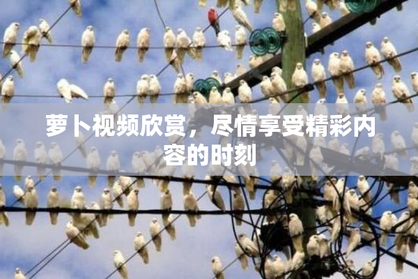 萝卜视频欣赏，尽情享受精彩内容的时刻