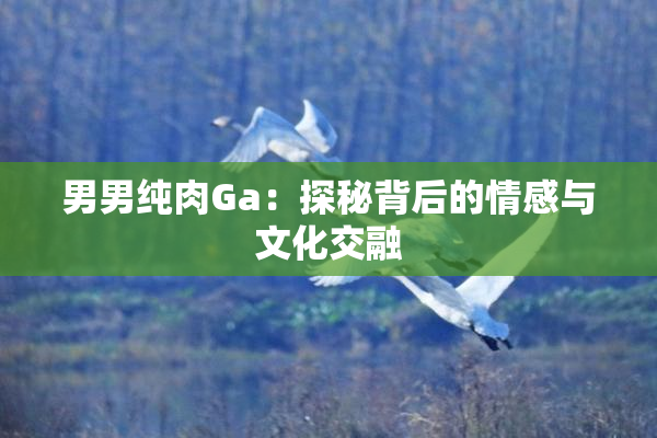 男男纯肉Ga：探秘背后的情感与文化交融