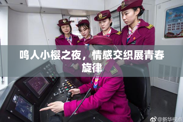 鸣人小樱之夜，情感交织展青春旋律