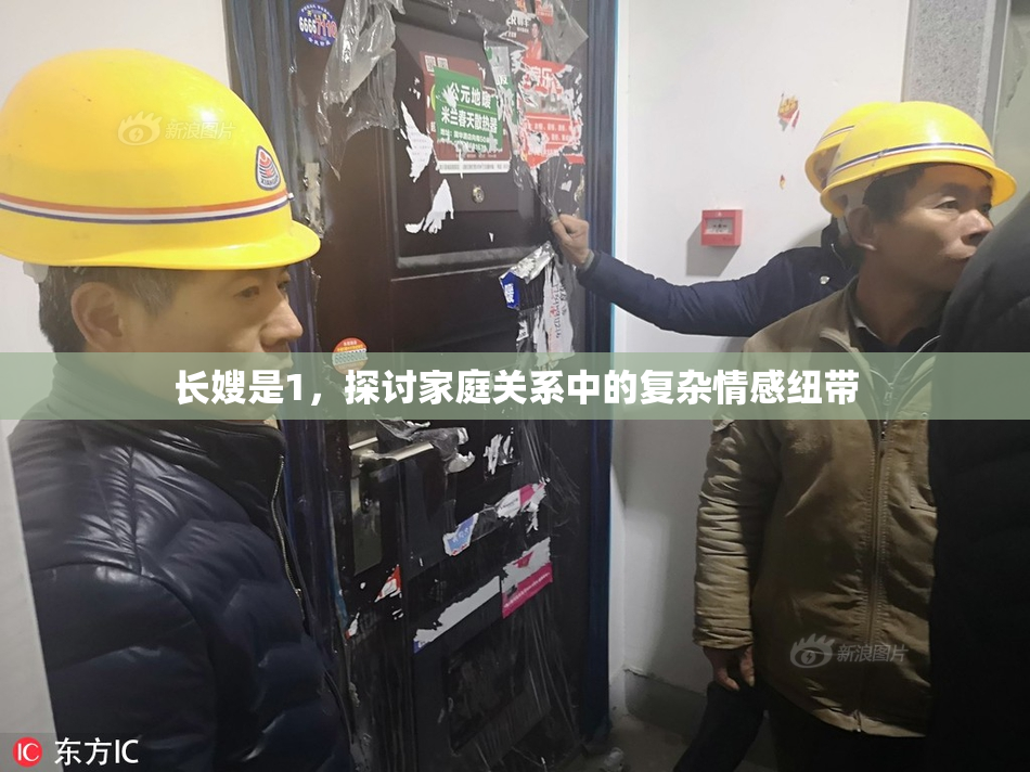 长嫂是1，探讨家庭关系中的复杂情感纽带