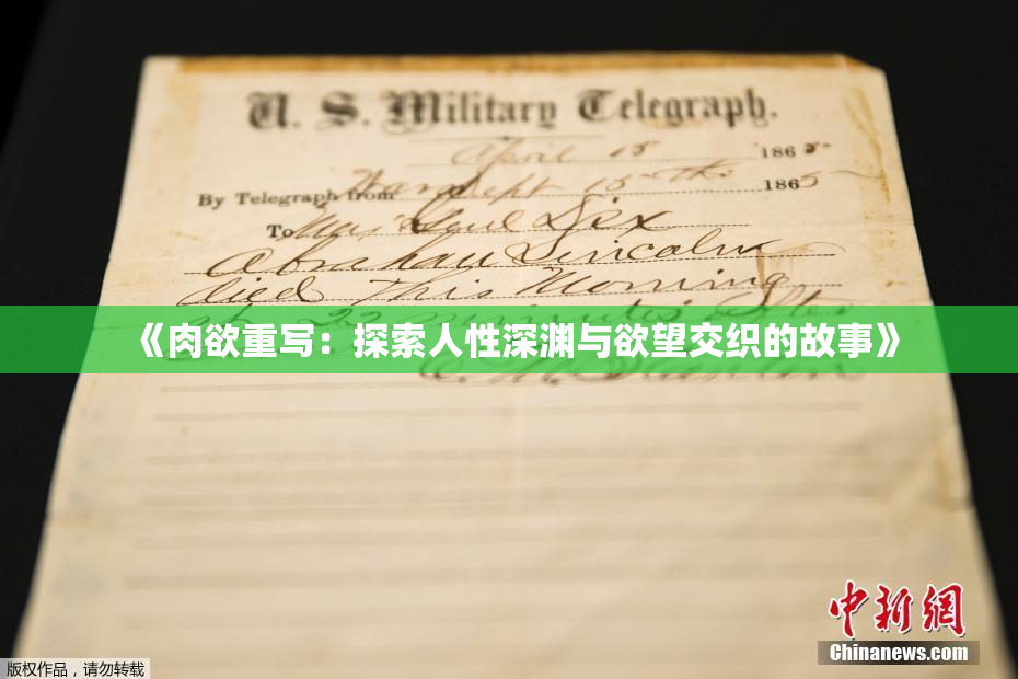 《肉欲重写：探索人性深渊与欲望交织的故事》