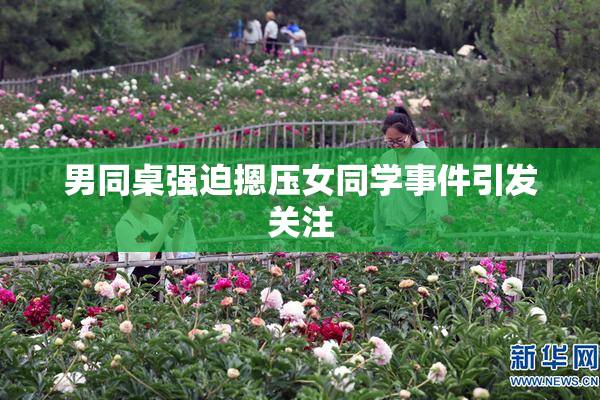 男同桌强迫摁压女同学事件引发关注