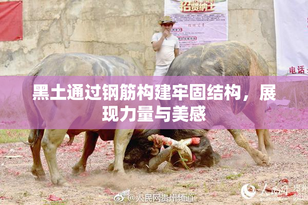 黑土通过钢筋构建牢固结构，展现力量与美感