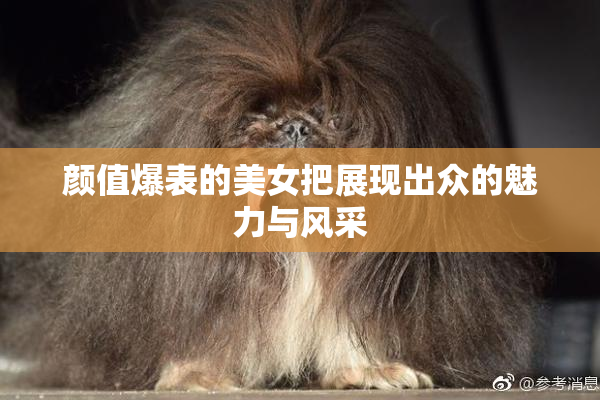 颜值爆表的美女把展现出众的魅力与风采