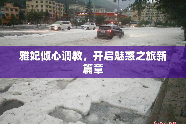雅妃倾心调教，开启魅惑之旅新篇章