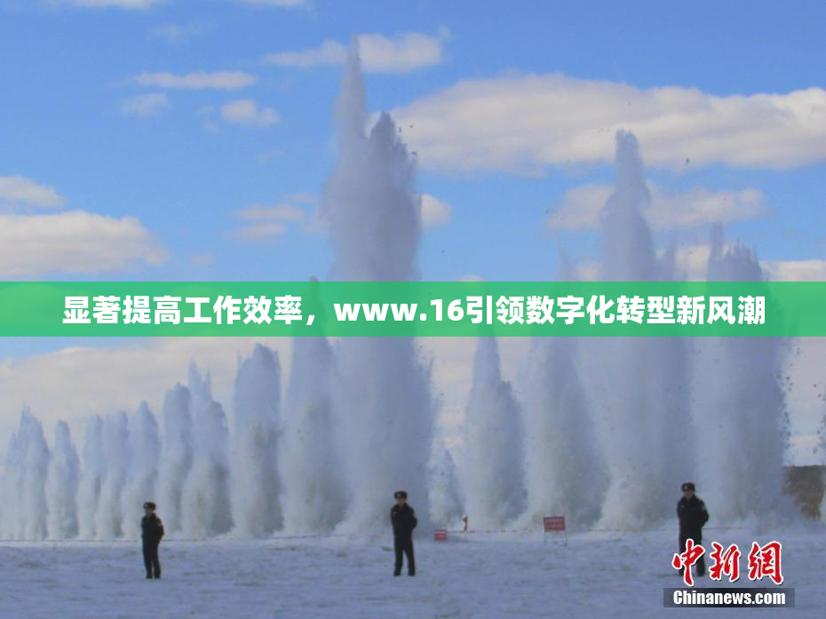 显著提高工作效率，www.16引领数字化转型新风潮