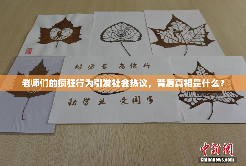 老师们的疯狂行为引发社会热议，背后真相是什么？