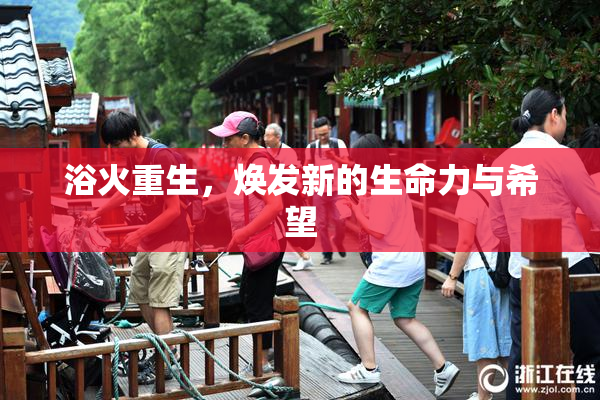 浴火重生，焕发新的生命力与希望