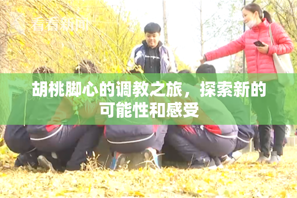 胡桃脚心的调教之旅，探索新的可能性和感受