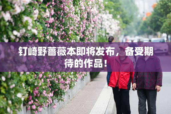 钉崎野蔷薇本即将发布，备受期待的作品！
