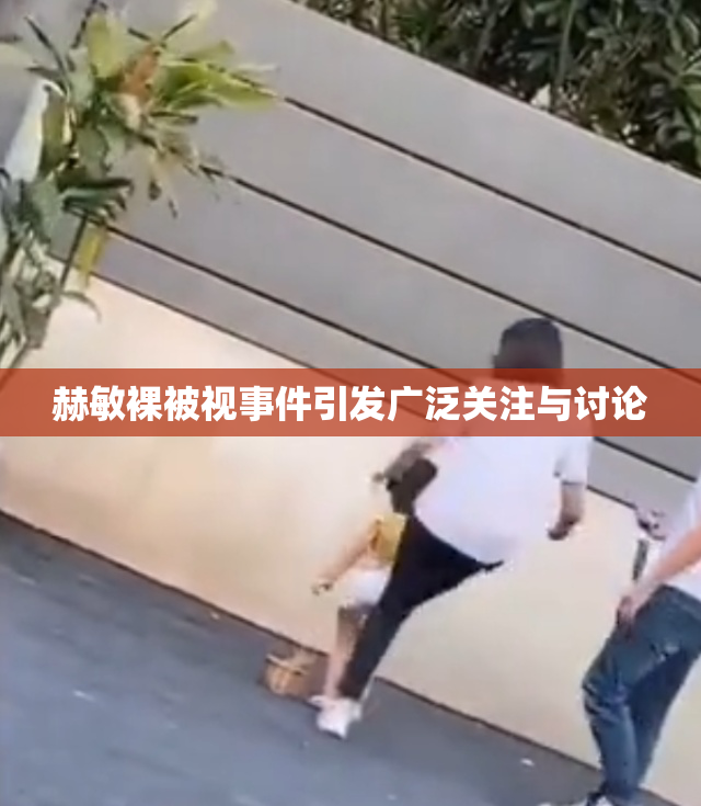 赫敏裸被视事件引发广泛关注与讨论